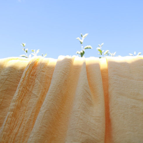 Panza topita Ruxanda colorata